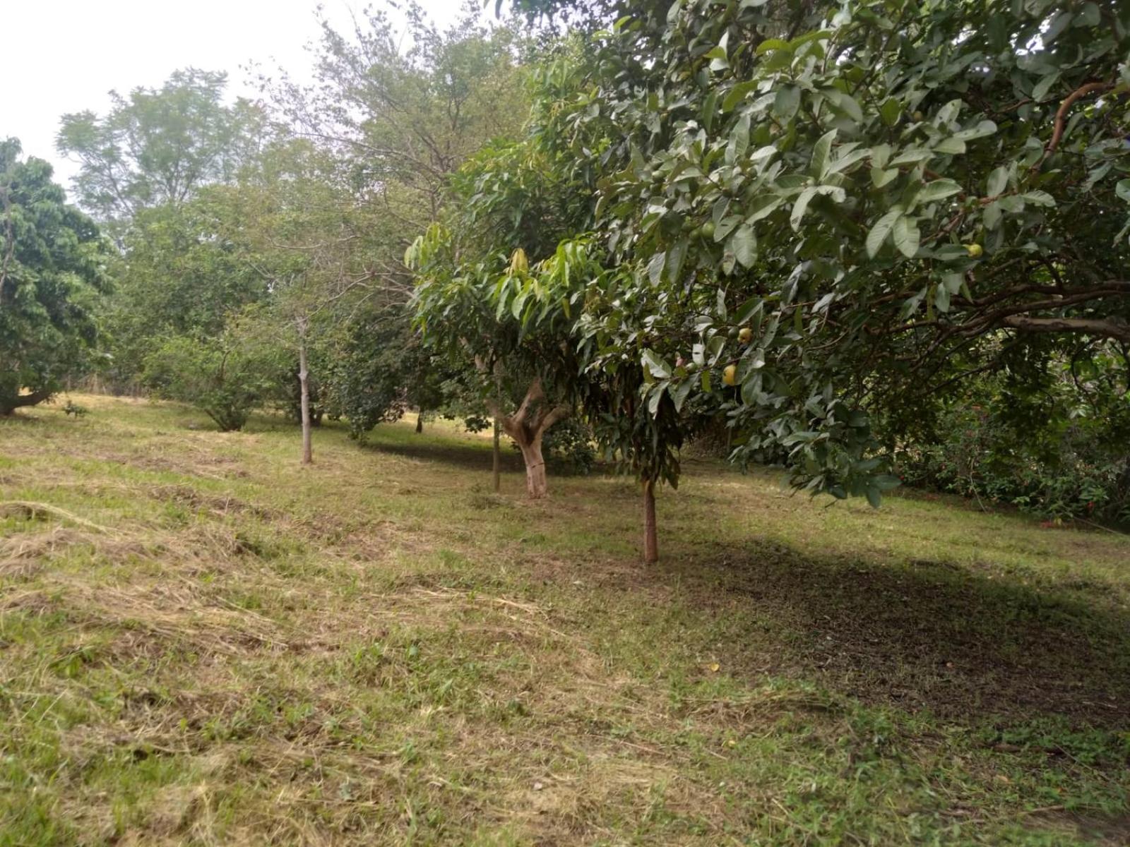 Casa Delicia Em Passa Quatro Ate 6 Pessoas Villa Eksteriør bilde